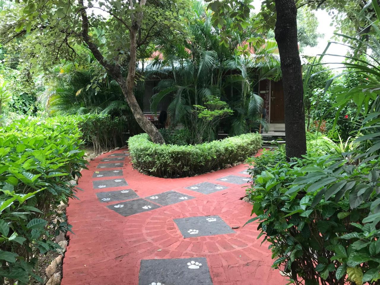 Baaz Jungle Resort Khawasa Exterior photo