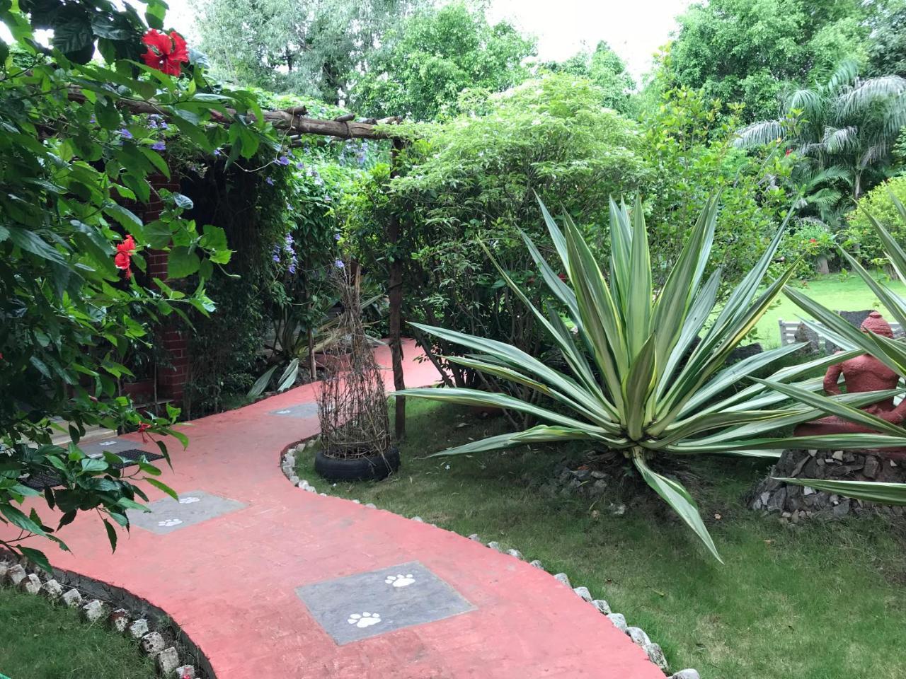 Baaz Jungle Resort Khawasa Exterior photo
