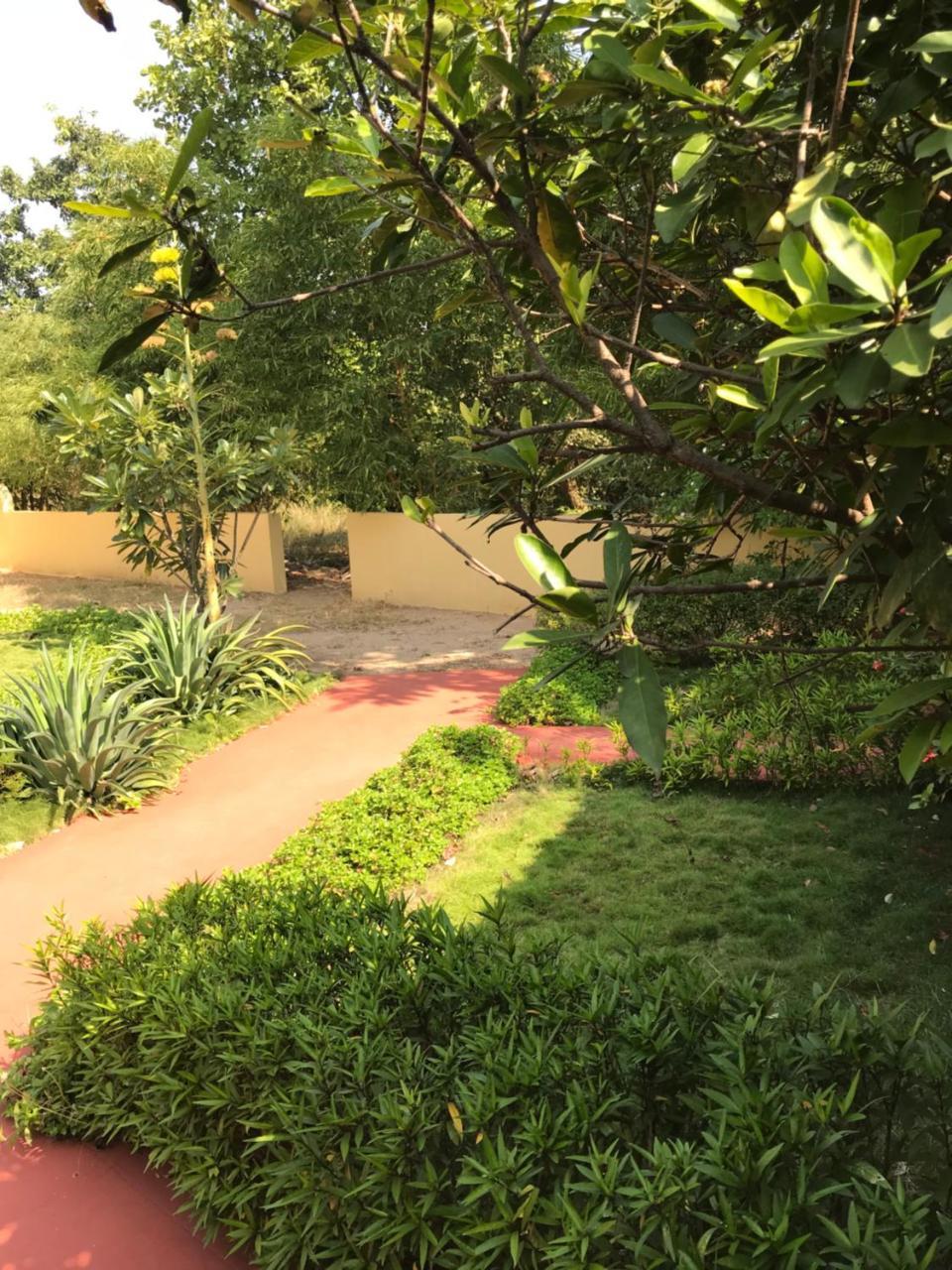 Baaz Jungle Resort Khawasa Exterior photo